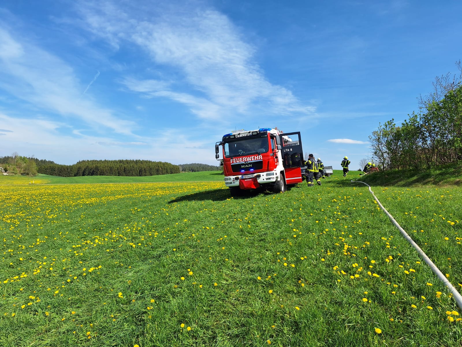 Brand Wald